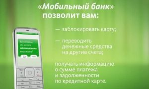 Сбербанк Онлайн: услуга Мобильный банк