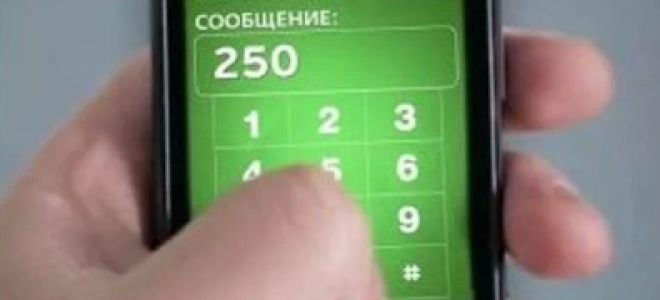 Как можно с легкостью перевести деньги по номеру 900